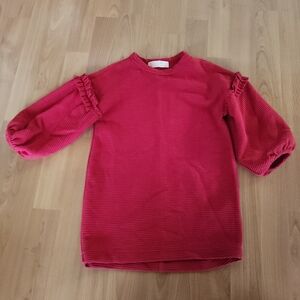 Zara Kids Red Dress with Ruffled Sleeves